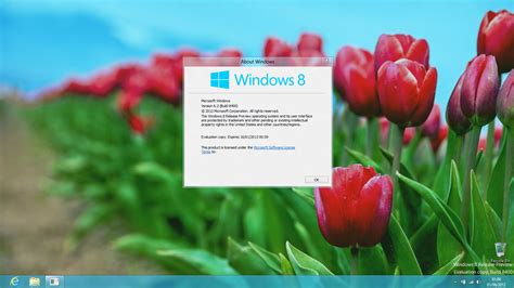 Windows 8 version 6.2 build 8400 activator